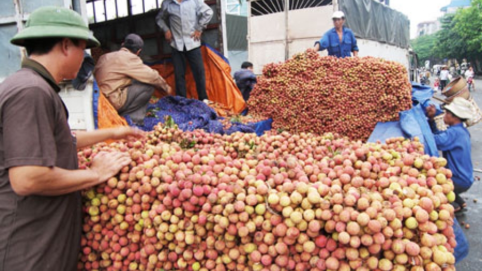 Exports to China on sharp rise in 8 months