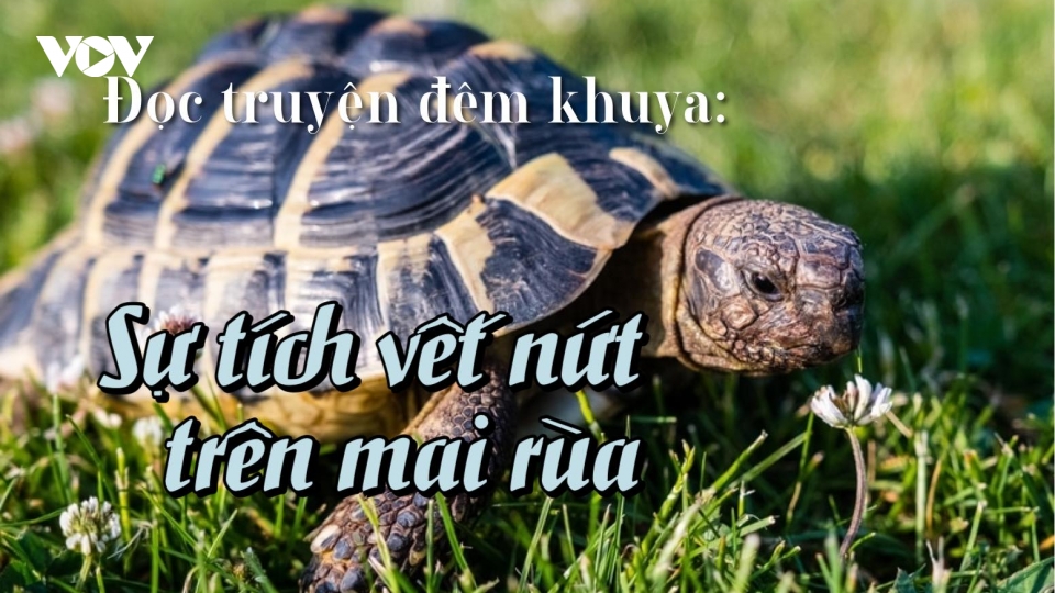 Sự tích vết nứt trên mai rùa