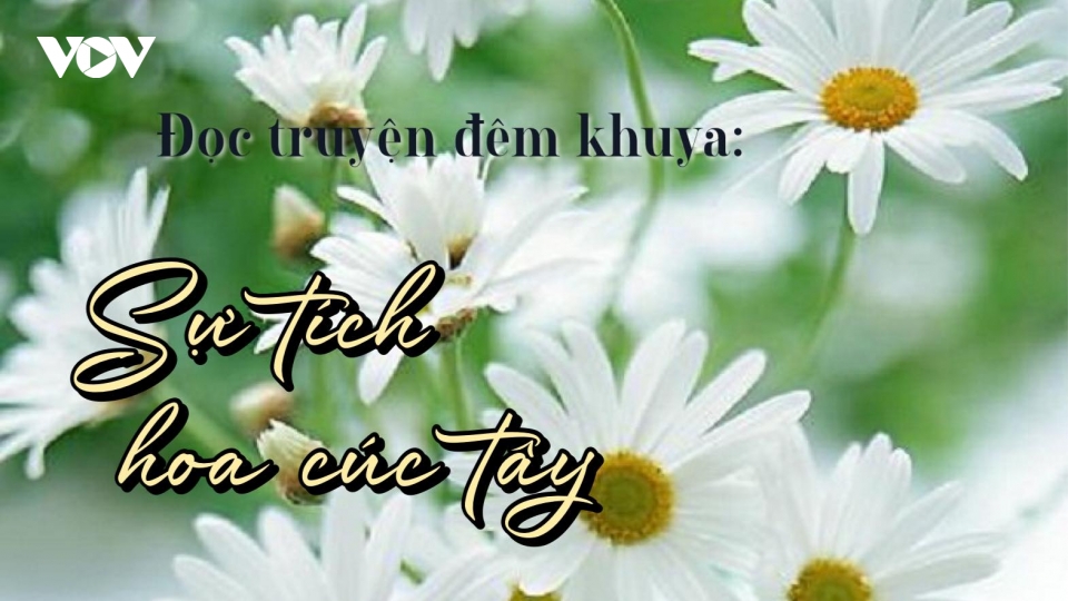 Sự tích hoa cúc tây