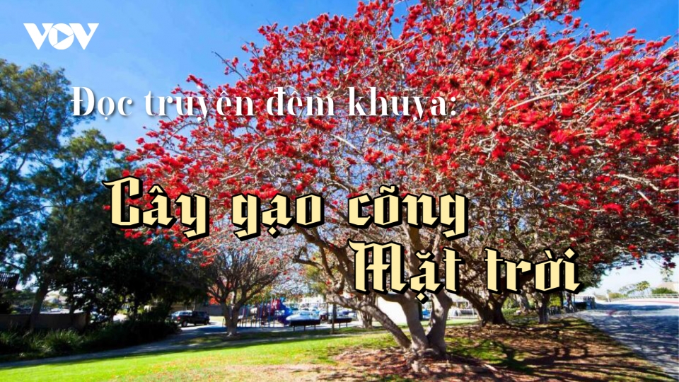 Anh em nhà nhện trong truyện "Cây gạo cõng mặt trời"