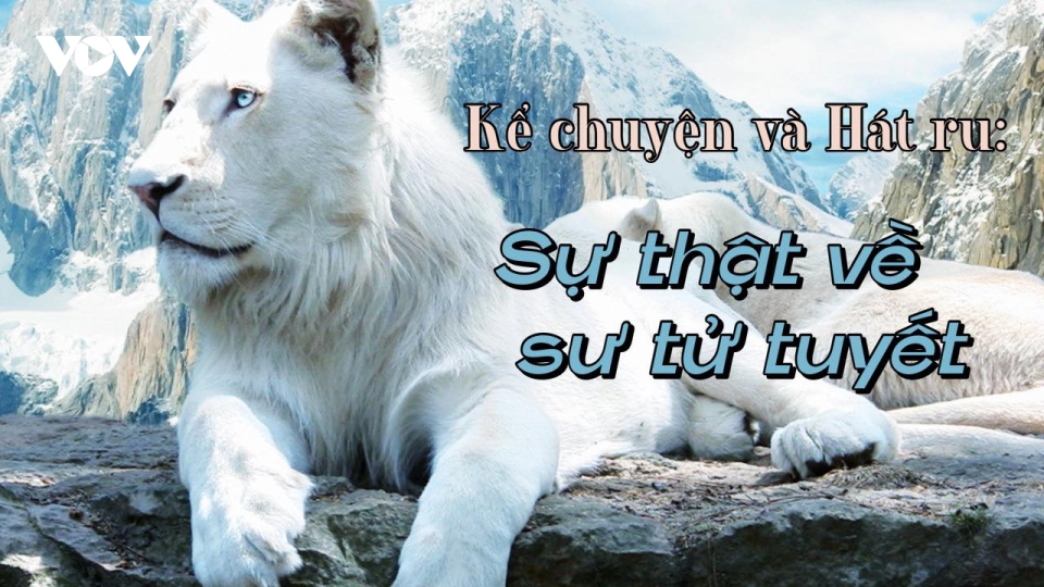 Sự thật về sư tử tuyết