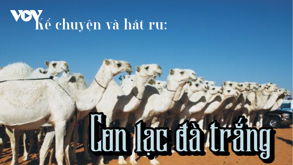 Tình mẫu tử trong truyện cổ tích "Con lạc đà trắng"