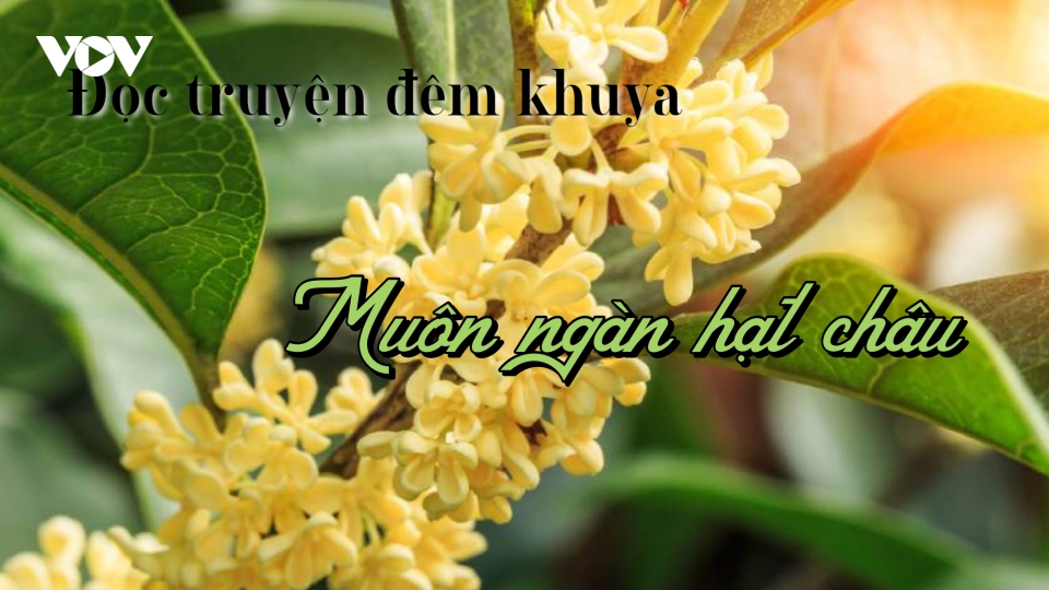 Truyện ngắn "Muôn ngàn hạt châu"