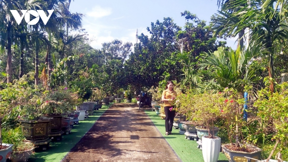 
        Mô hình vườn mẫu ở Quảng Nam đang mang lại hiệu quả kinh tế cao
                                  
              