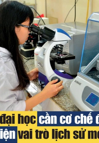Ấn phẩm Tiếng nói Việt Nam số 21(2040) - Thứ Năm ngày 21/5/2026