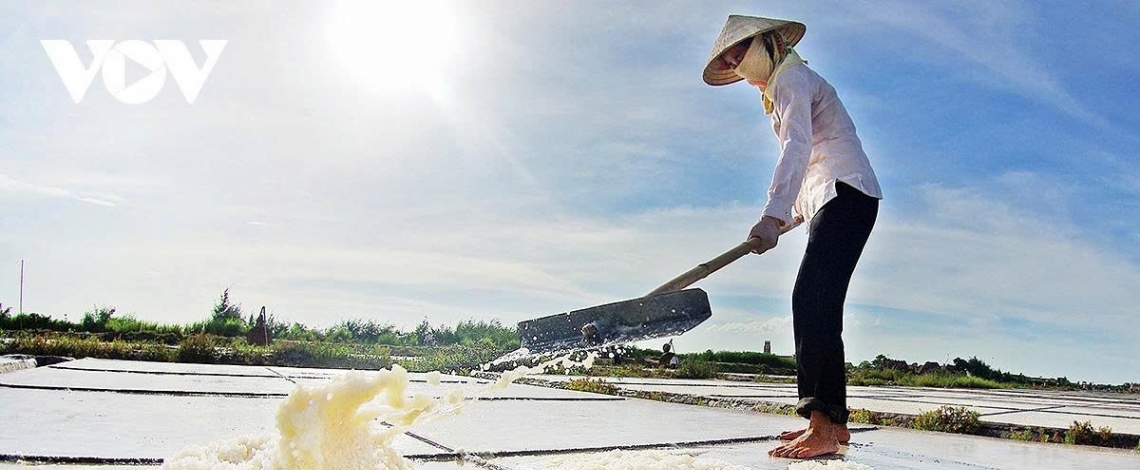 Earning their salt – the grueling life of salt makers in Nam Dinh