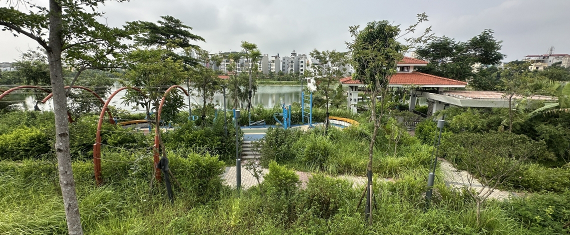 Dây leo, cỏ dại khắp nơi trong công viên có vốn đầu tư hàng tỷ đồng