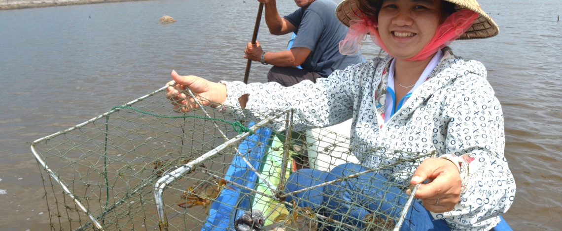 Vì sao cua Cà Mau nức tiếng gần xa?