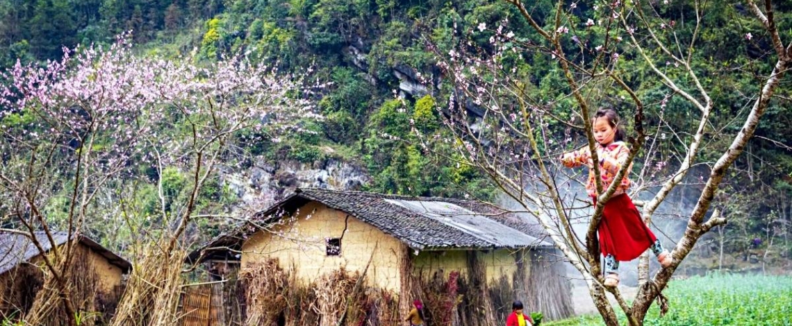 Vitality on Dong Van Karst Plateau – a UNESCO Global Geopark