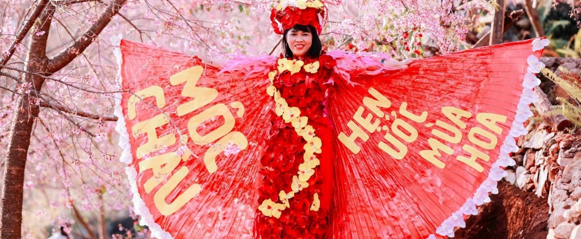 Cherry blossoms paint Moc Chau Plateau pink, drawing spring visitors