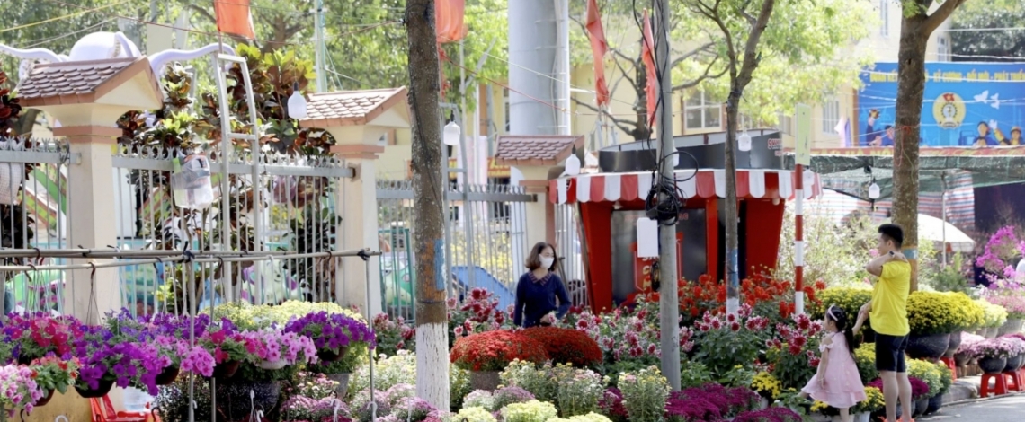 Spring colors fill Lunar New Year flower market in Buon Ma Thuot
