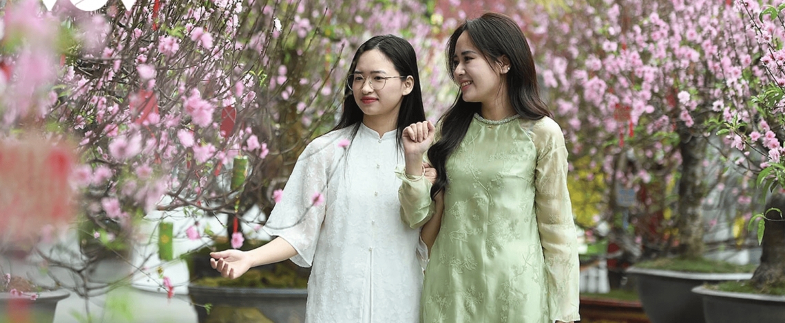 Color-rich spring flower display at Ly Thai To Flower Garden in Hanoi