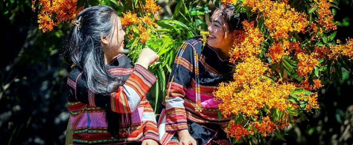 Seasonal wild ixora bloom puts Ta Ma Stream on tourism map
