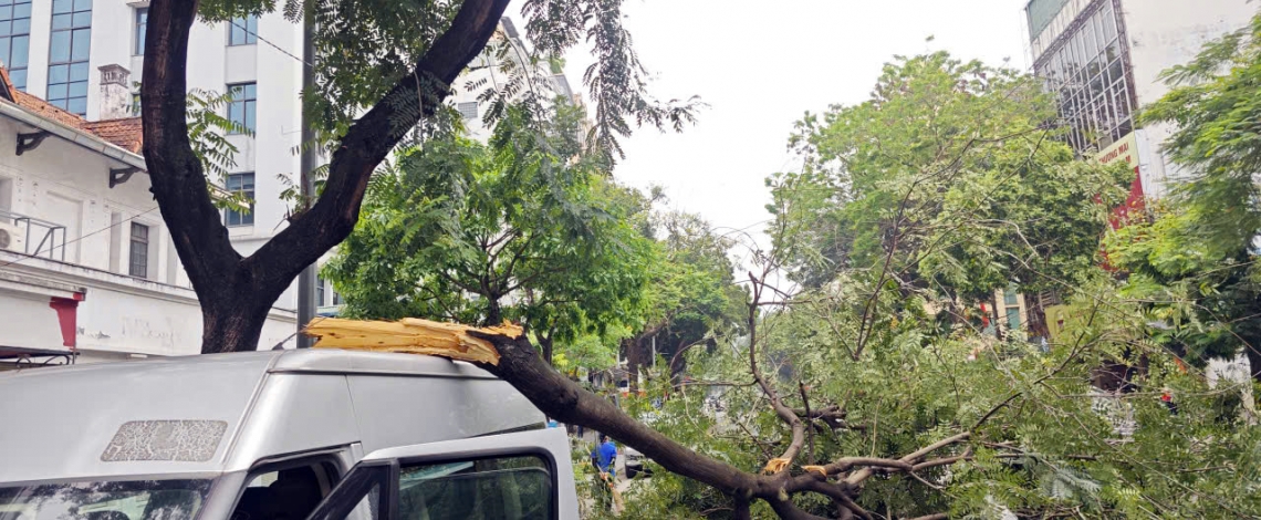 Cành cây lớn gãy đè trúng ô tô trên phố Bà Triệu (Hà Nội) vào giờ cao điểm