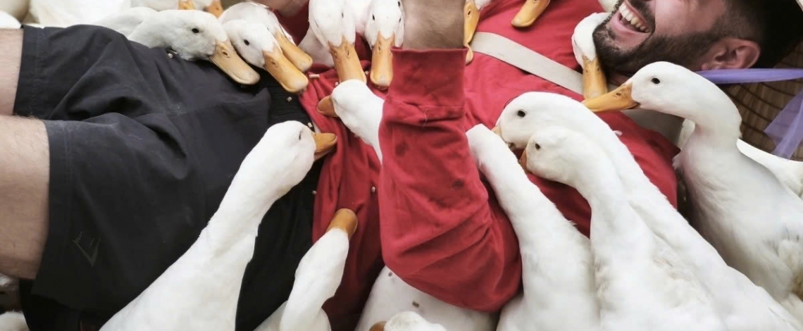 Rural experiences draw foreign tourists to central Vietnam