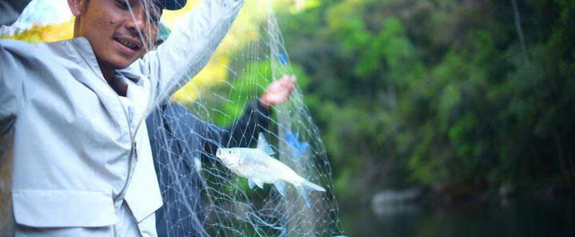 Ngược dòng sông Krông Nô săn loài cá quý hiếm ở Lâm Đồng cùng bà con K'Ho