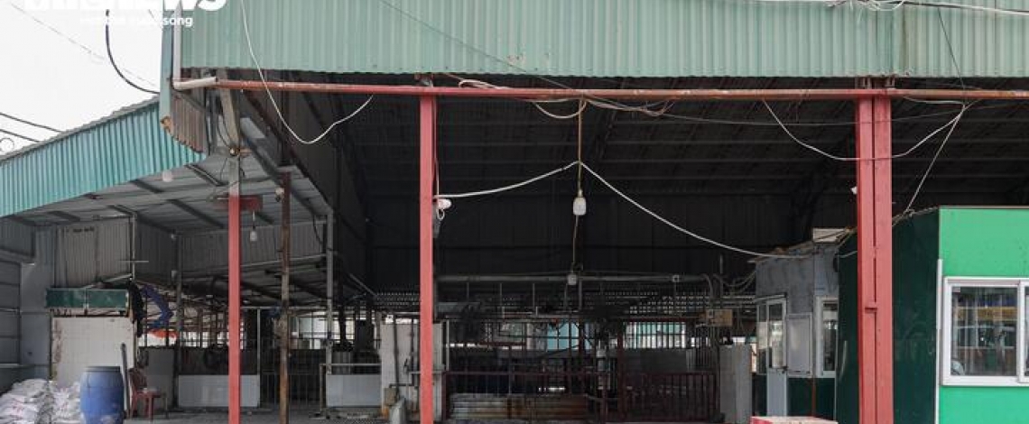 Cận cảnh lò mổ tuồn gần 300 tấn lợn bệnh vào trường học, chợ đầu mối ở Hà Nội