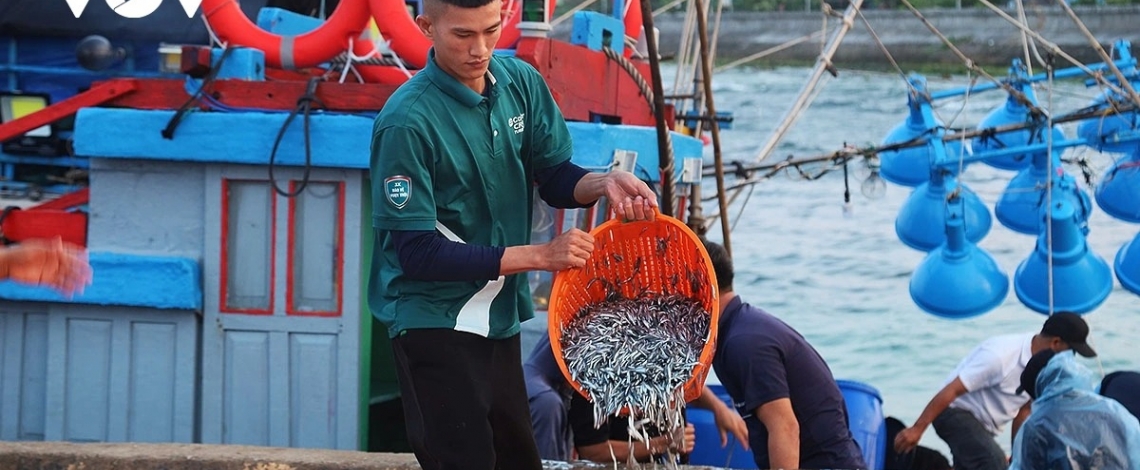 Simple beauty of life at dawn in Ly Son port
