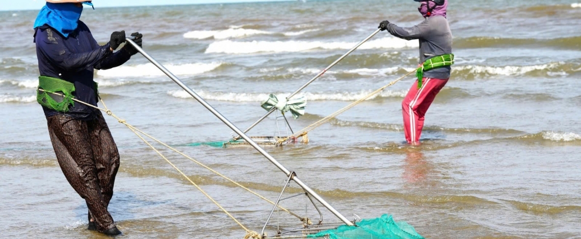 A hardworking day of mini clam diggers along Thanh Hoa beach