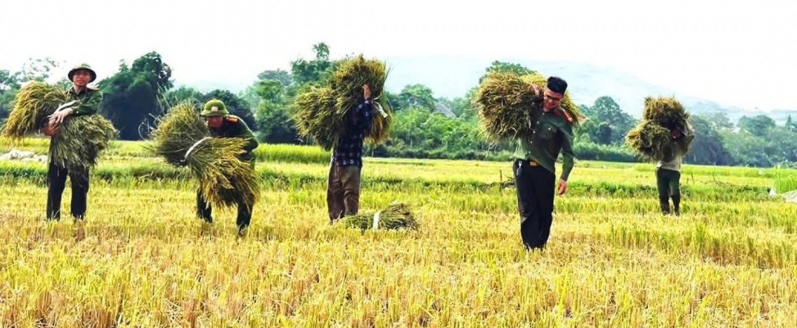 When police officers head to the field to lend a helping hand to farmers