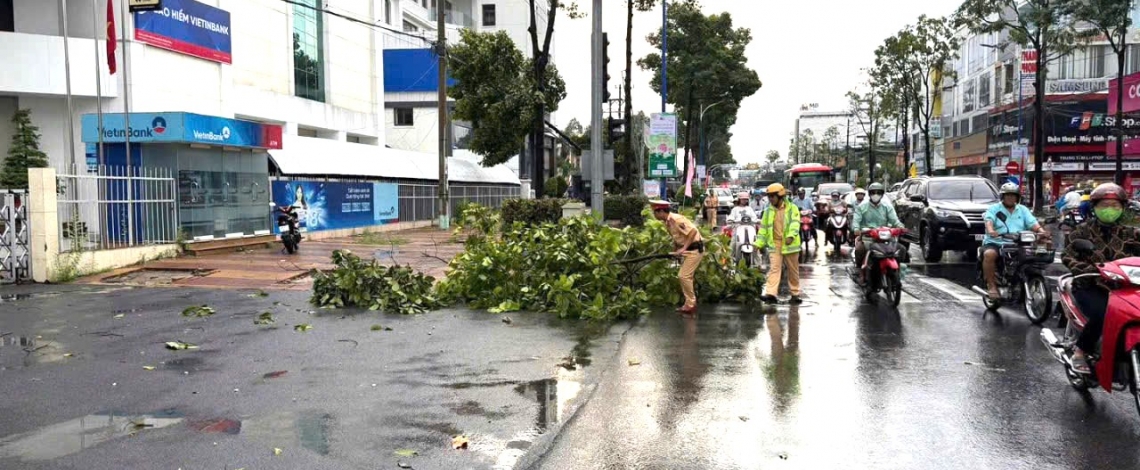 Giông lốc quật ngã hàng loạt cây xanh ở phường Cao Lãnh (Đồng Tháp)