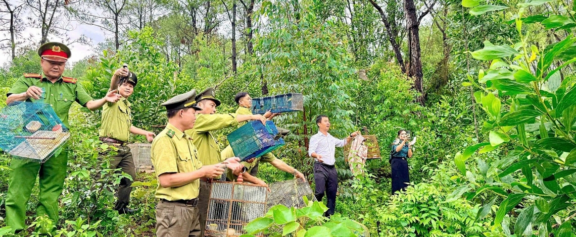 Tháo gỡ “thiên la địa võng” bảo vệ chim hoang dã tại Nghệ An, Hà Tĩnh