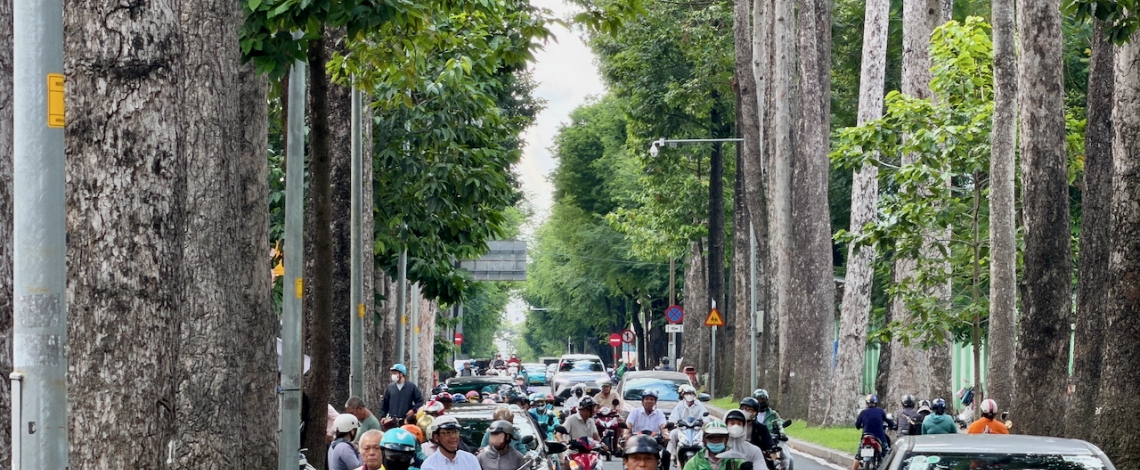 Cây cổ thụ mùa mưa ở TP.HCM: Ngân sách trăm tỷ, mối họa treo lơ lửng