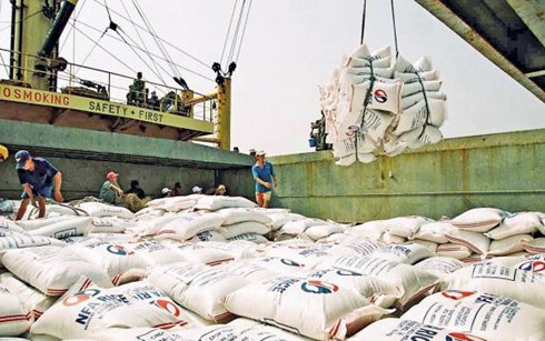 Rice exports to EU market are anticipated to make breakthroughs through EVFTA 