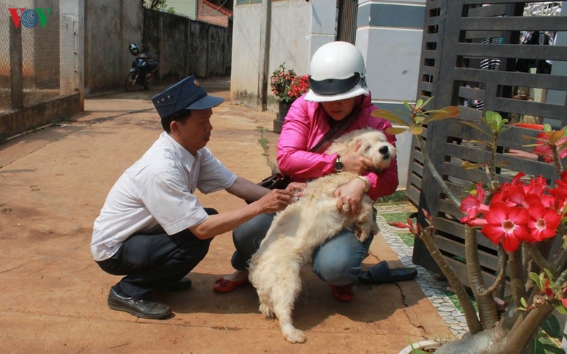Cán bộ chăn nuôi thú y tại Đắk Lắk tiêm phòng dại cho chó tại địa phương.