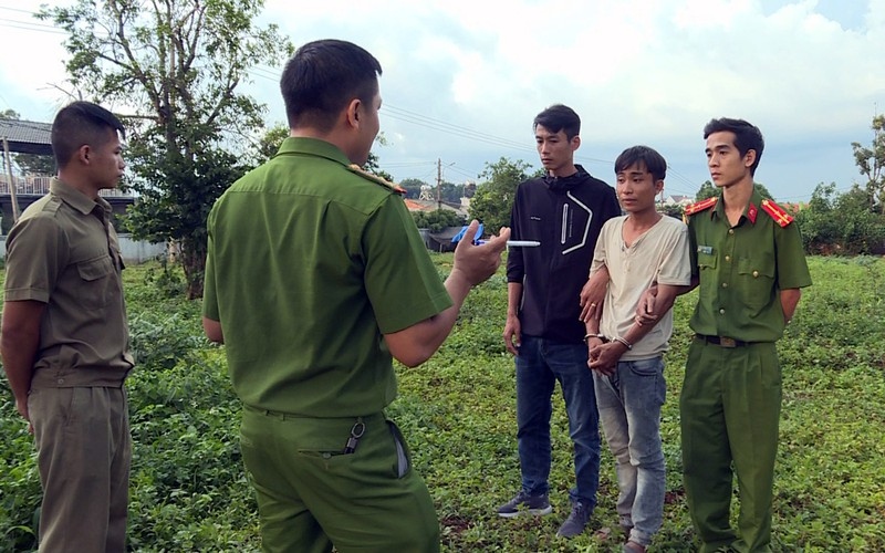 Đang chăn bò ăn trộm chờ bán thì Vũ bị phát hiện, bắt giữ.