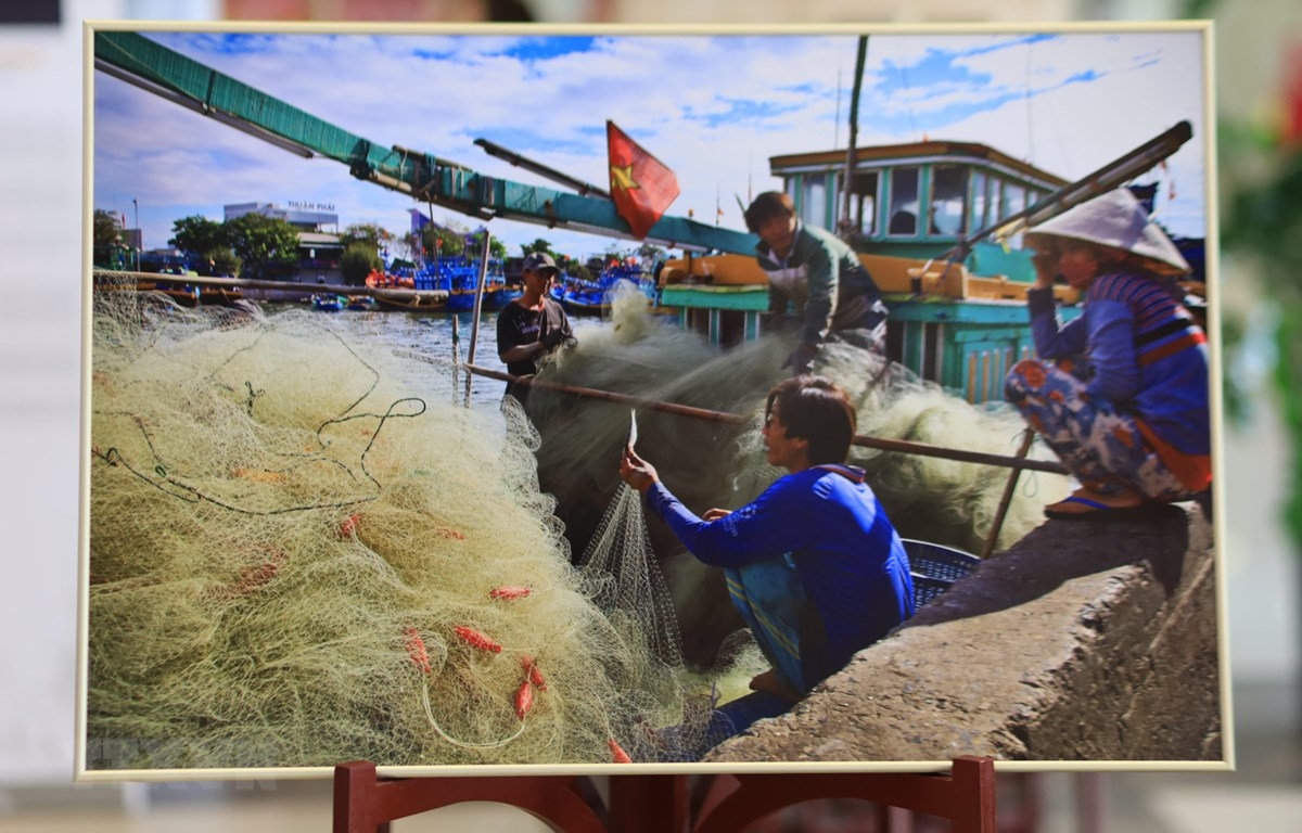 Russia photo exhibition showcases Vietnam seas, islands