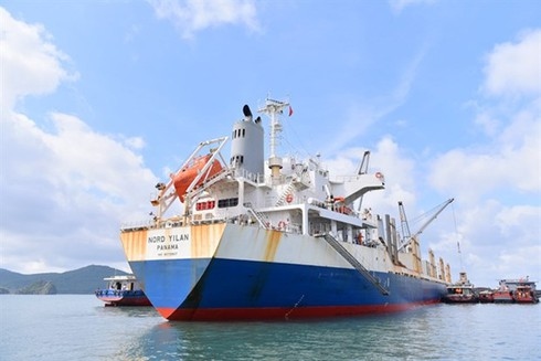 vietnam_receives_first_coal_batch_imported_from_the_us_LNCC.jpg