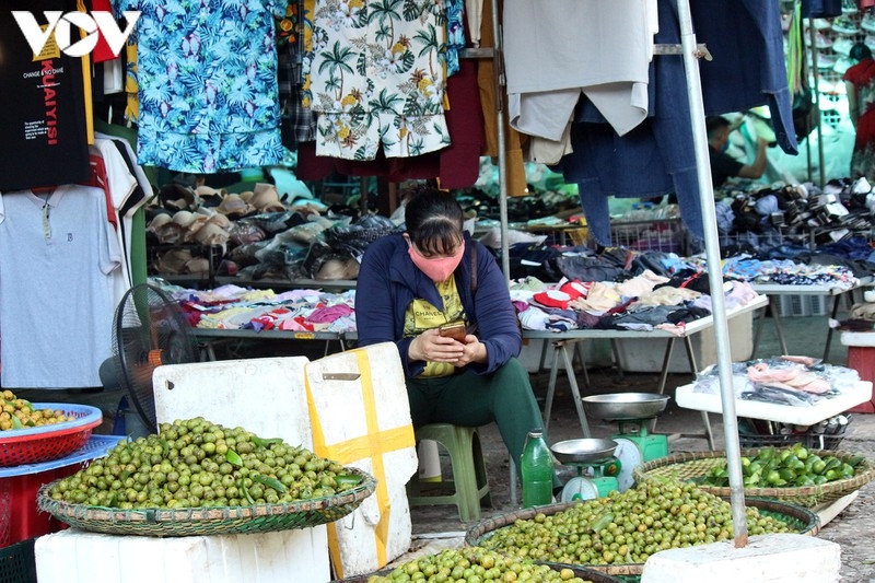 hanoi wet market shoppers follow covid-19 prevention measures picture 10