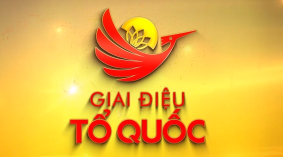 hoa nhac mung quoc khanh 2 9 dien ra truc tuyen do dich covid-19 hinh anh 1