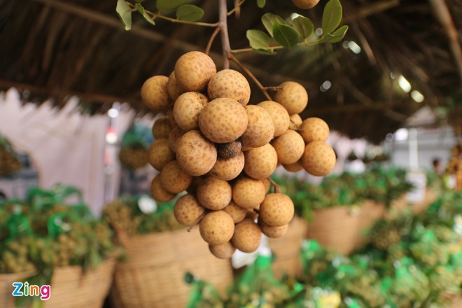 US experts due to arrive to examine Vietnamese fruit exports