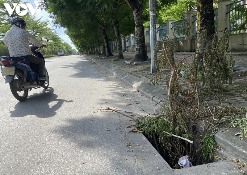 ha noi hang loat ong cong, ho ga mat nap, bay nguoi dan o pho tan my hinh anh 2