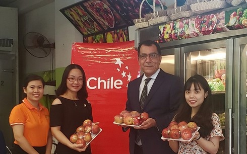 batch of chilean apples marks first foray into vietnamese market picture 1