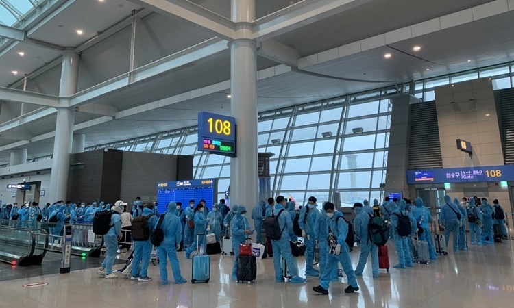 more than 300 vietnamese nationals safely return from rok picture 1