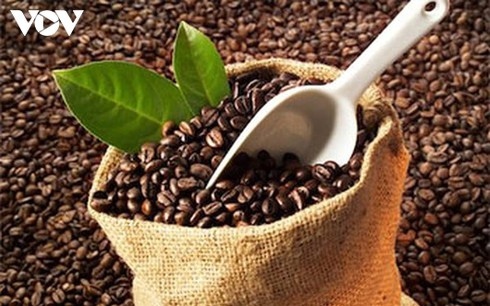 eu increases purchases of vietnamese coffee picture 1