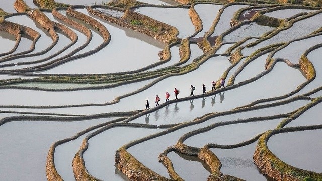 photo of hoi an sweet soup named in collection of incredible travel images picture 13