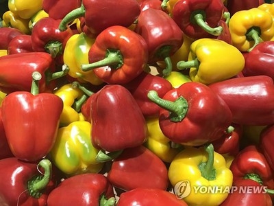 Negotiations finalised for RoK to export paprika to Vietnam