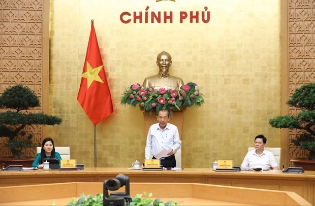 Deputy Prime Minister Truong Hoa Binh (standing) speaks at the meeting of the steering committee for enterprise reform and development on August 6