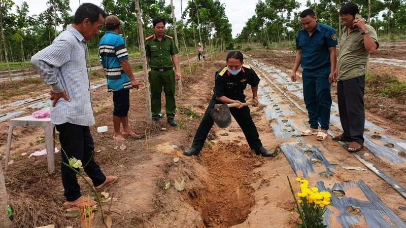 Các lực lượng tiến hành khai quật hài cốt liệt sĩ ở Nông trường cao su Minh Hòa.