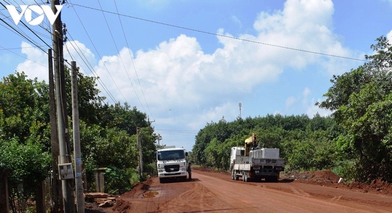 bi phong dien, mot cong nhan o binh phuoc tu vong hinh anh 1