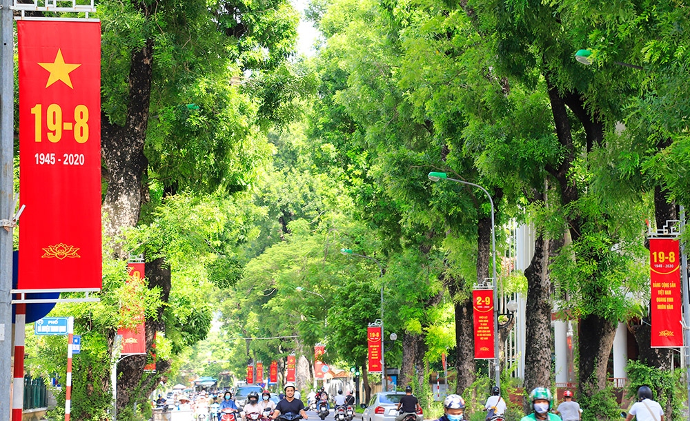 hanoi well decorated for national day celebrations picture 1