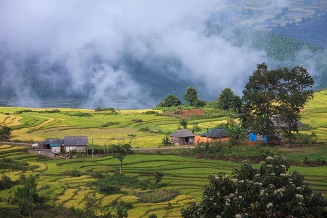 discovering y ty mountainous commune s pristine beauty in northern vietnam picture 6