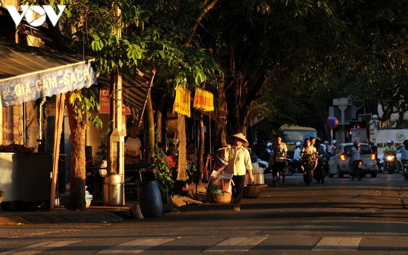 when vendors take to hanoi streets picture 8