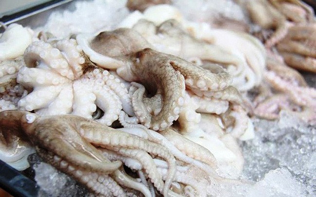 vietnamese squid and octopus exports to china surge picture 1