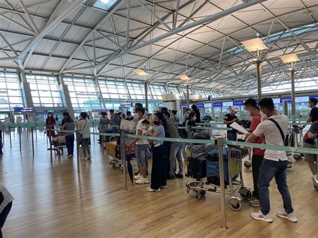 over 250 vietnamese citizens safely repatriated from rok picture 1