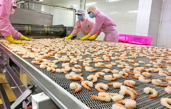 eu, us consumers keen on vietnamese tuna, shrimp picture 1